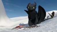 Скриншот 4: Как приручить дракона: Дар ночной фурии / Dragons: Gift of the Night Fury (2011)