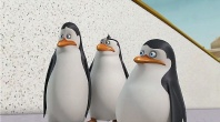 Скриншот 1: Пингвины Мадагаскара: Операция отпуск / Penguins Of Madagascar: Operation Vacation (2012)